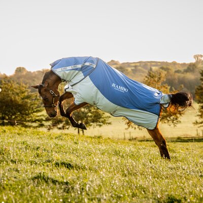HORSEWARE Outdoor-/Weidedecke RAMBO Autumn Series – Ansicht 2