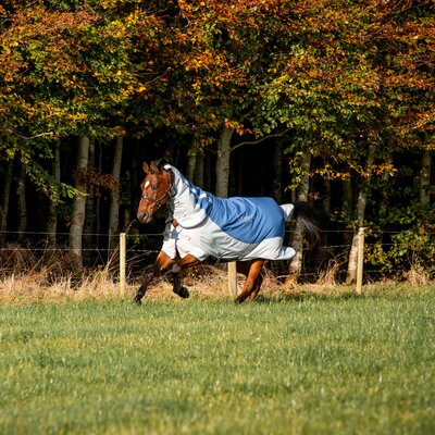 HORSEWARE Outdoor-/Weidedecke RAMBO Autumn Series – Ansicht 3