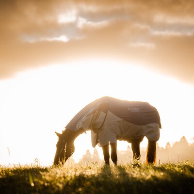 HORSEWARE Outdoor-/Weidedecke RAMBO Autumn Series – Ansicht 4