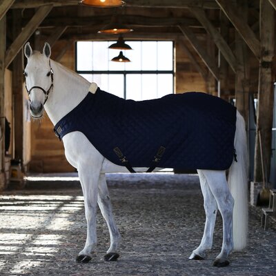 KENTUCKY Führanlagendecke Walker Rug 160 g