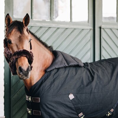 KENTUCKY Brustschutz Horse BIB