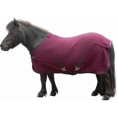 Horse-friends Abschwitzdecke 