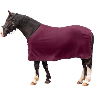 Horse-friends Abschwitzdecke XL Dakar 