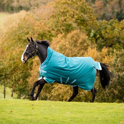Horseware Outdoordecke AMIGO Bravo 12 Wug Lite 