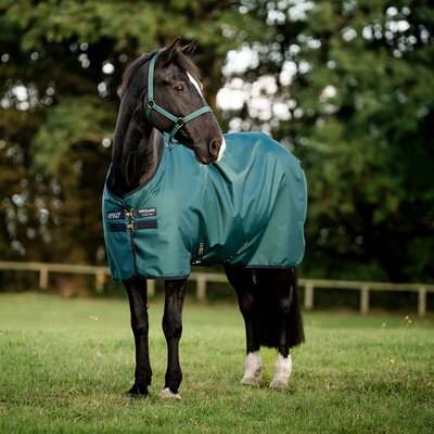 HORSEWARE Weidedecke AMIGO Ripstop 900 Denier, ohne Füllung 