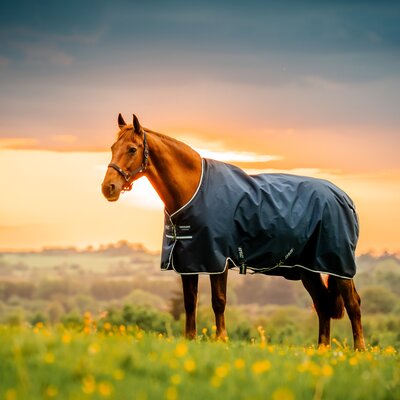 HORSEWARE Weidedecke AMIGO Ripstop 900 Denier, ohne Füllung 