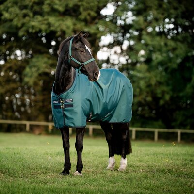 HORSEWARE Weidedecke AMIGO Ripstop 900 Fleece Lining, 50 g – Ansicht 1