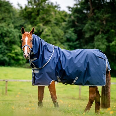 HORSEWARE Weidedecke AMIGO Ripstop 900 Plus 200 g – Ansicht 2