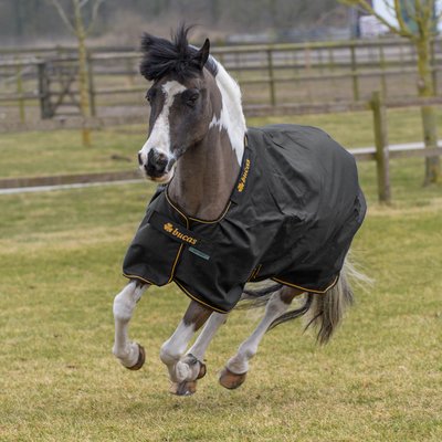 bucas Outdoordecke Irish Turnout light 