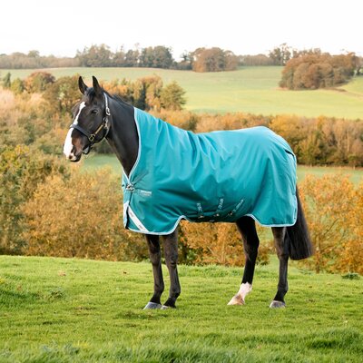 Horseware Outdoordecke AMIGO Bravo 12 Wug Medium 