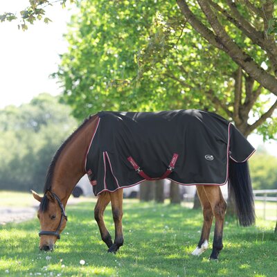 IRISh INNOVATION Outdoordecke Rainstormer