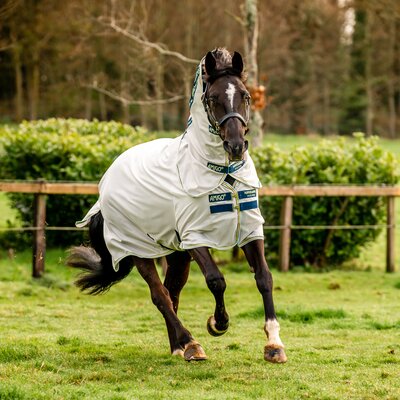 HORSEWARE Fliegendecke AMIGO Bug Rug – Ansicht 2