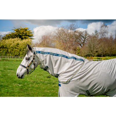 HORSEWARE Fliegendecke AMIGO Bug Rug – Ansicht 4