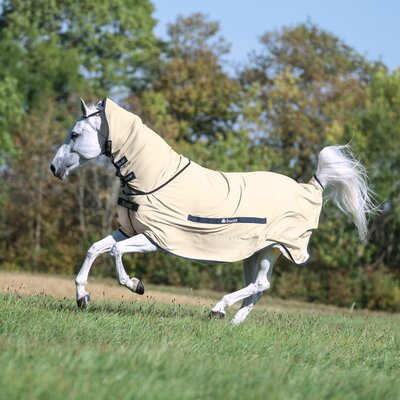 Bucas x Cheval de Luxe Ekzemerdecke – Ansicht 2