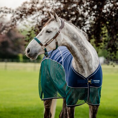 HORSEWARE Signature Hybrid-Abschwitzdecke Sport Cooler