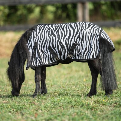 Horse-friends Fliegendecke für Shetty und Pony – Ansicht 2