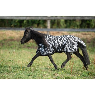 Horse-friends Fliegendecke für Shetty und Pony – Ansicht 3