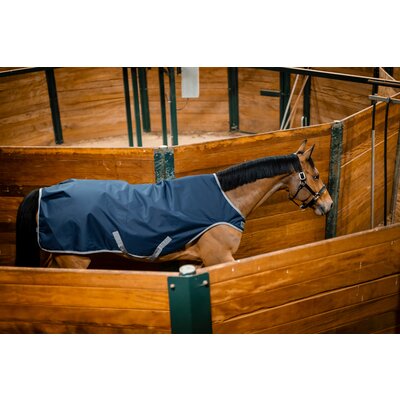 HORSEWARE Trainingsdecke AMIGO Ripstop 900D Walker Rug – Ansicht 5