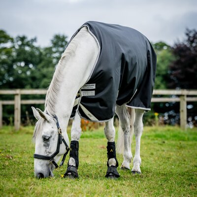 Horseware Outdoordecke AMIGO 1200 D, 250 g – Ansicht 2