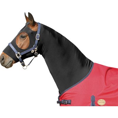 Horse-friends Sleezy