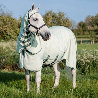 HORSEWARE Fliegendecke RAMBO Hoodie – Ansicht 4