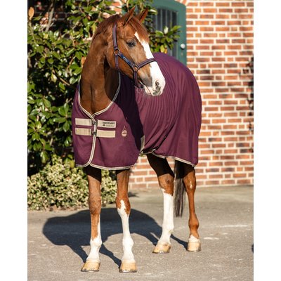 Horseware Stalldecke AMIGO Stable Sheet 