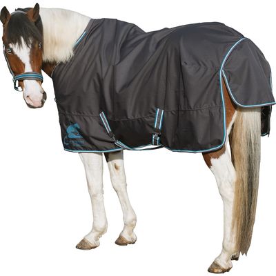 L-pro West Paddock- und Outdoordecke Light