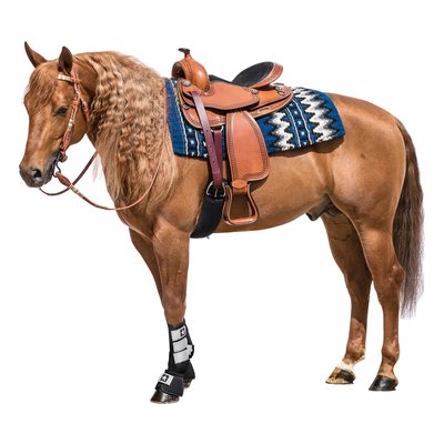 L-pro West Westernblanket Sparkling – Ansicht 2
