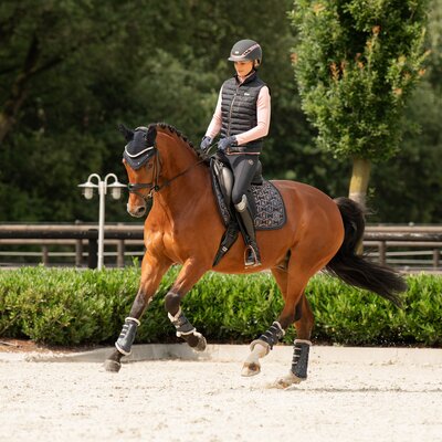 ESKADRON Heritage Schabracke Glossy