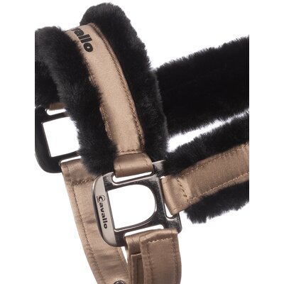 Cavallo Halfter CAVALJERO