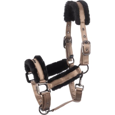 Cavallo Halfter CAVALJERO