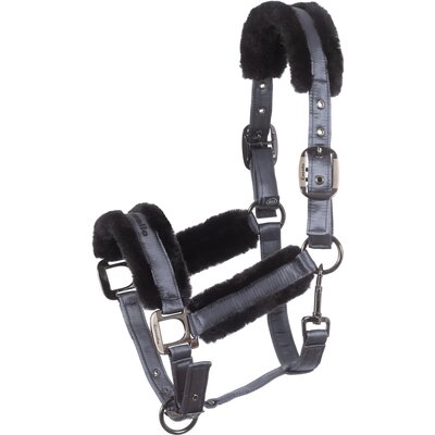 Cavallo Halfter CAVALJERO