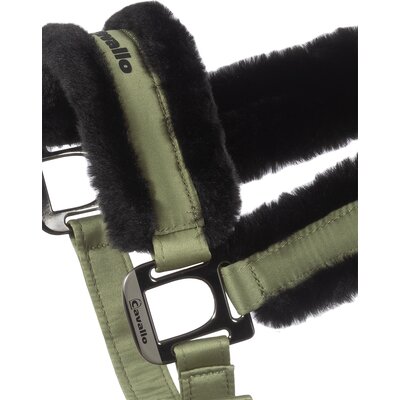 Cavallo Halfter CAVALJERO