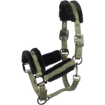 Cavallo Halfter CAVALJERO