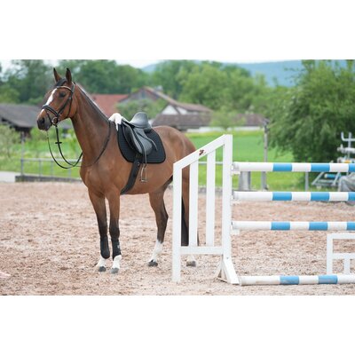 Horse-friends Lammfell-Schabracke Mesh