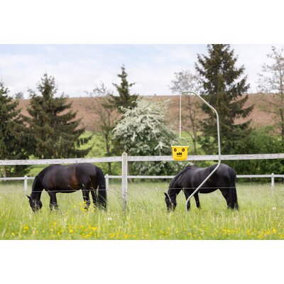KERBL cit Fliegenfalle FlyCage6 – Ansicht 6