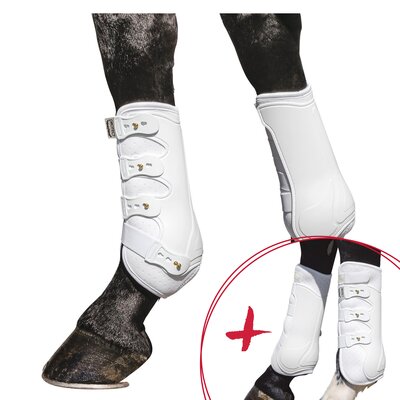 PROTECT by Horse-friends Set Beinschutz, Dressurgamaschen Amadora V + Dressurgamasche Amadora H – Ansicht 2