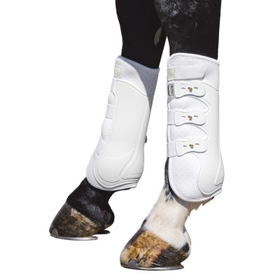 PROTECT by Horse-friends Dressurgamaschen Amadora H, hinten 