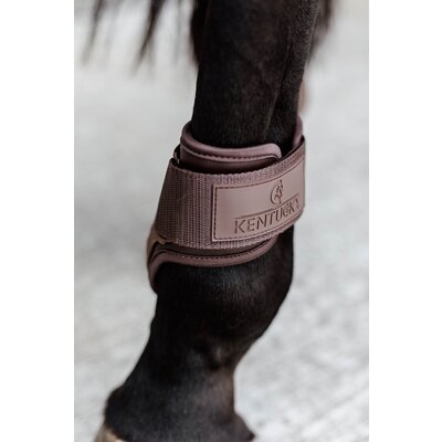 KENTUCKY Fesselkopfgamaschen Young Horse