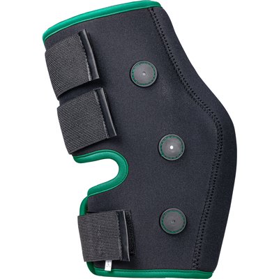 PROTECT by Horse-Friends Sprunggelenkschoner Magnetic, hinten 