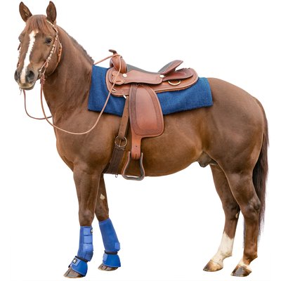 L-pro West Gamaschen – Ansicht 2