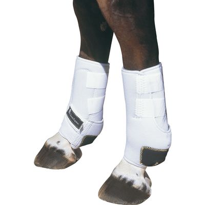 Classic Equine US-Hippopren-Gamaschen, hinten – Ansicht 3