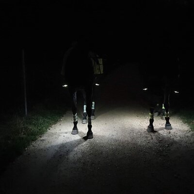 LOVELSTAR Steigbügeleinlagen LEDs Pro – Ansicht 5