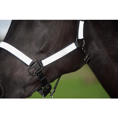 PROTECT by Horse-friends Halfter