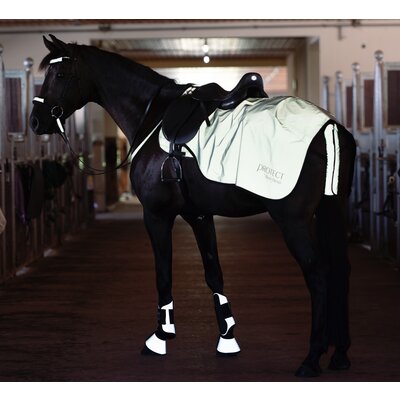 PROTECT by Horse-friends Ausreitdecke shiny silver | L