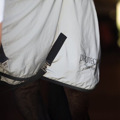 PROTECT by Horse-friends Bewegungsdecke – Ansicht 2