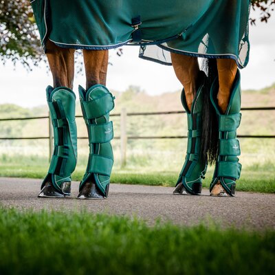 HORSEWARE Signature Transportgamaschen hunter green | VB