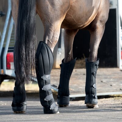 Cheval de Luxe Transportgamaschen