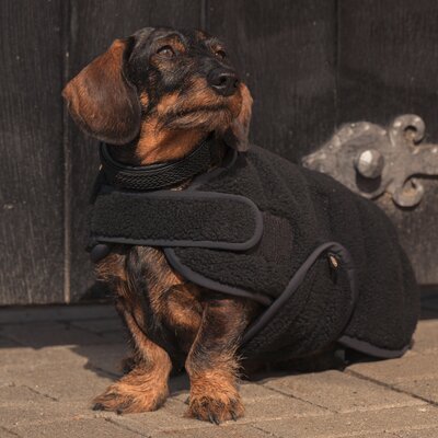 ESKADRON Heritage Hundemantel Teddy – Ansicht 2