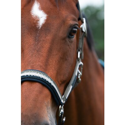 ESKADRON Classic Sports Halfter Double Pin